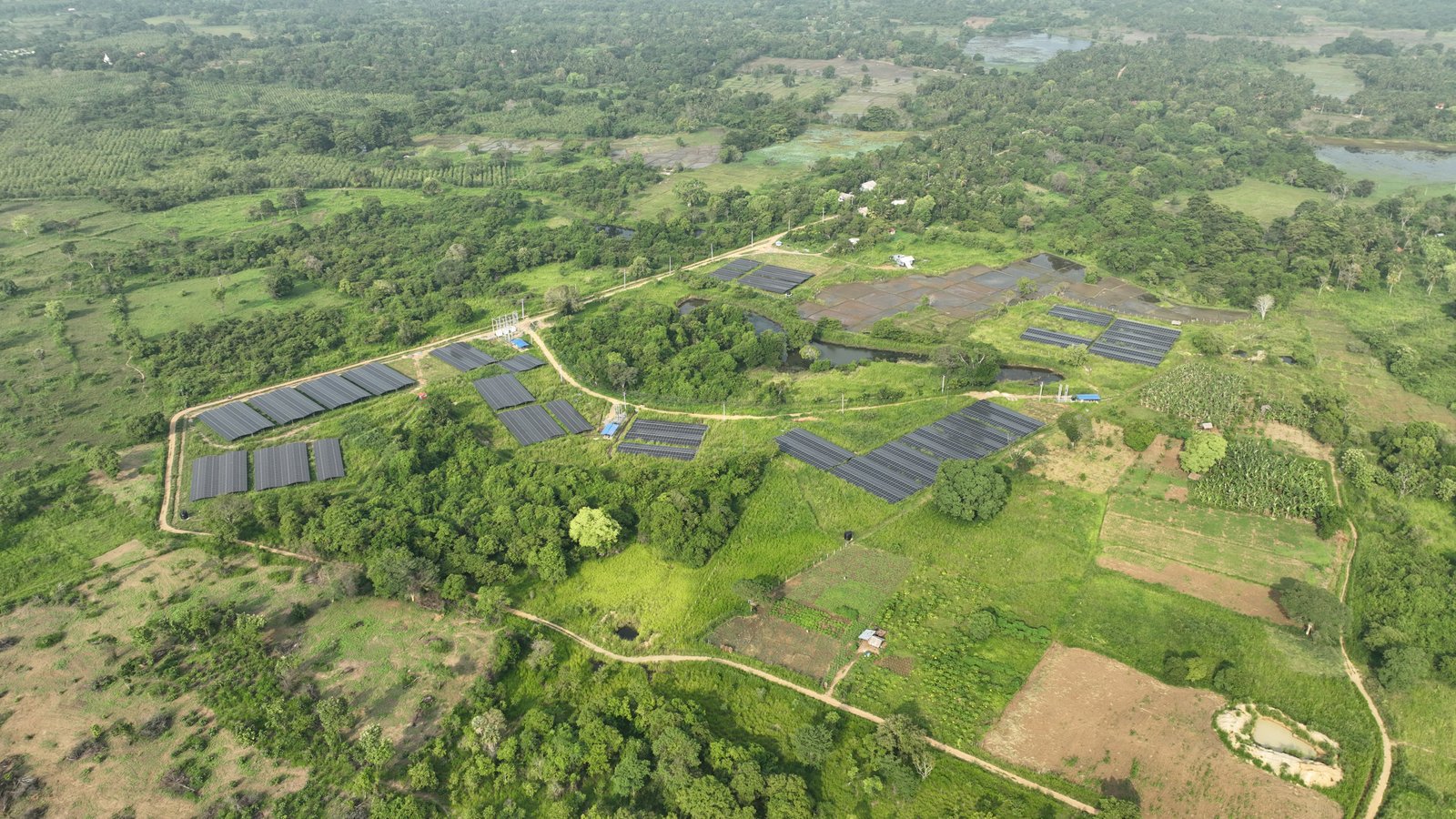 Aerial view of a ground mounted solar plant among trees and paddy land in Sri Lanka